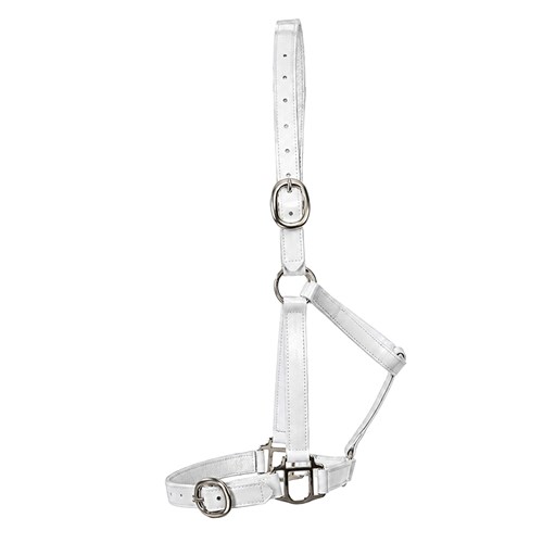 HSN5000F WH-03